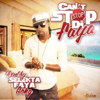 Selekta Faya Gong - Cant Stop Di Faya